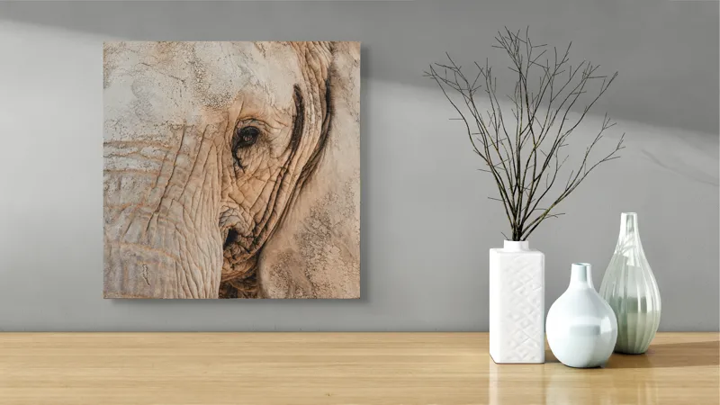 Tablou Canvas, "Căldura privirii unui elefant", Elefant, Majestuos, Impresionant, Puternic, Seren, Rugos, Venerabil, Natural, Profund, Inspirator, 50 x 50 cm – poza 3