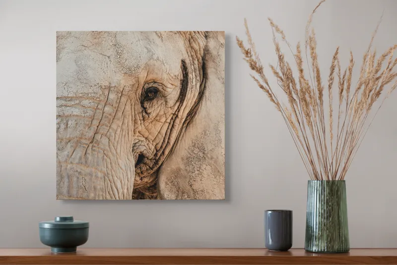 Tablou Canvas, "Căldura privirii unui elefant", Elefant, Majestuos, Impresionant, Puternic, Seren, Rugos, Venerabil, Natural, Profund, Inspirator, 50 x 50 cm – poza 4