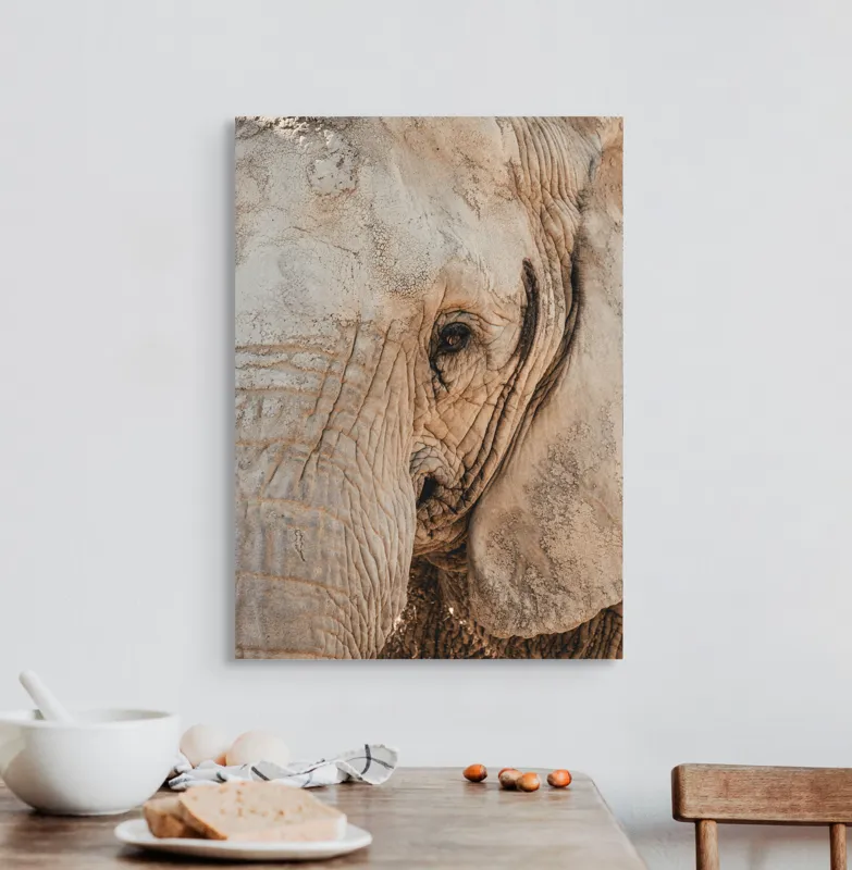 Tablou Canvas, "Căldura privirii unui elefant", Elefant, Majestuos, Impresionant, Puternic, Seren, Rugos, Venerabil, Natural, Profund, Inspirator, 50 x 70 cm – poza 3