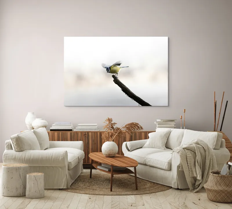 Tablou Canvas, "Pasărea albastră pe ramura uscată", Pene, Zbor, Ramură, Delicatețe, Natură, Pasăre, 150 x 100 cm – poza 3