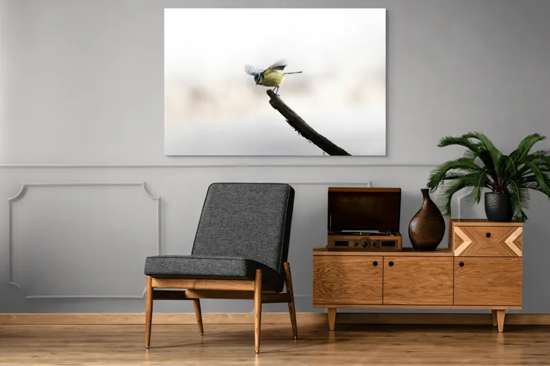 Tablou Canvas, "Pasărea albastră pe ramura uscată", Pene, Zbor, Ramură, Delicatețe, Natură, Pasăre, 150 x 100 cm – poza 8