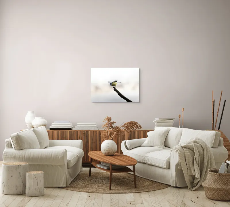 Tablou Canvas, "Pasărea albastră pe ramura uscată", Pene, Zbor, Ramură, Delicatețe, Natură, Pasăre, 70 x 50 cm – poza 6