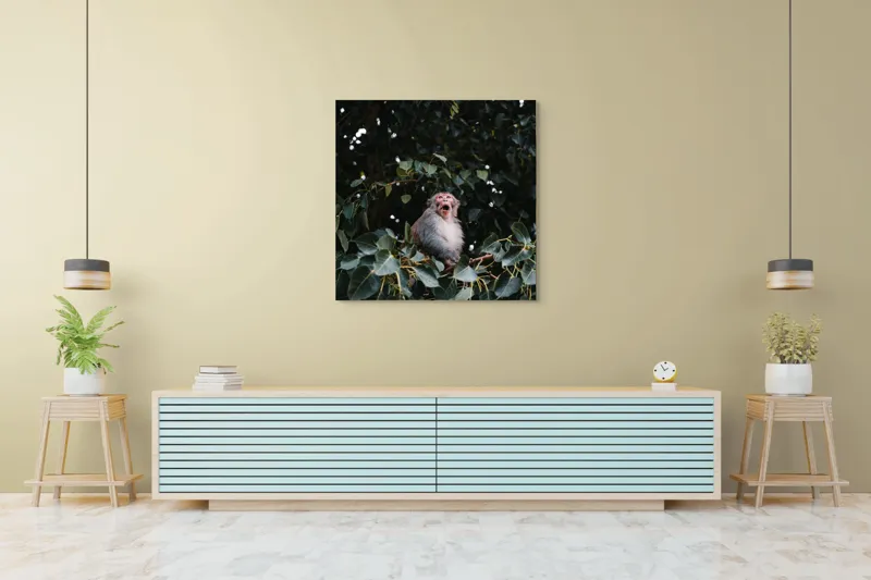 Tablou Canvas, "Maimuță veselă printre frunze verzi", Maimuță, Frunze, Copac, Natură, Râs, Ramură, Verde, Sălbăticie, 100 x 100 cm – poza 5
