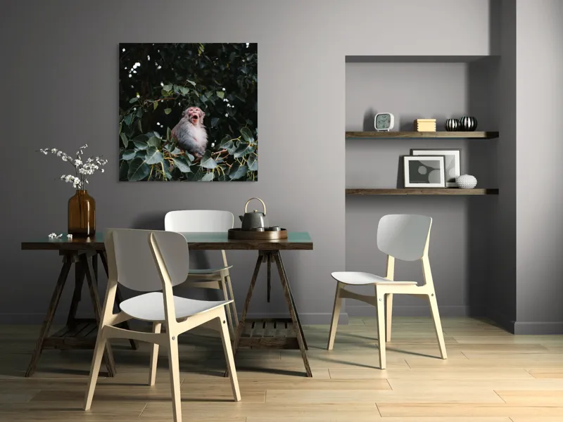 Tablou Canvas, "Maimuță veselă printre frunze verzi", Maimuță, Frunze, Copac, Natură, Râs, Ramură, Verde, Sălbăticie, 100 x 100 cm – poza 6
