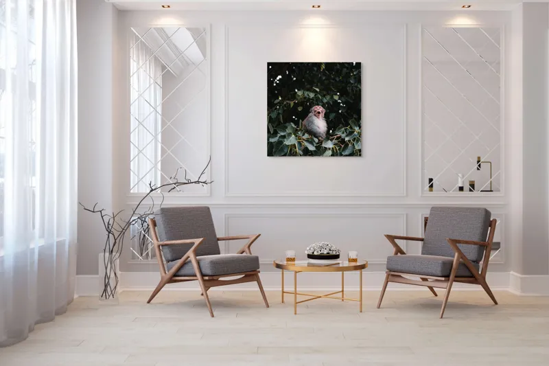 Tablou Canvas, "Maimuță veselă printre frunze verzi", Maimuță, Frunze, Copac, Natură, Râs, Ramură, Verde, Sălbăticie, 100 x 100 cm – poza 7