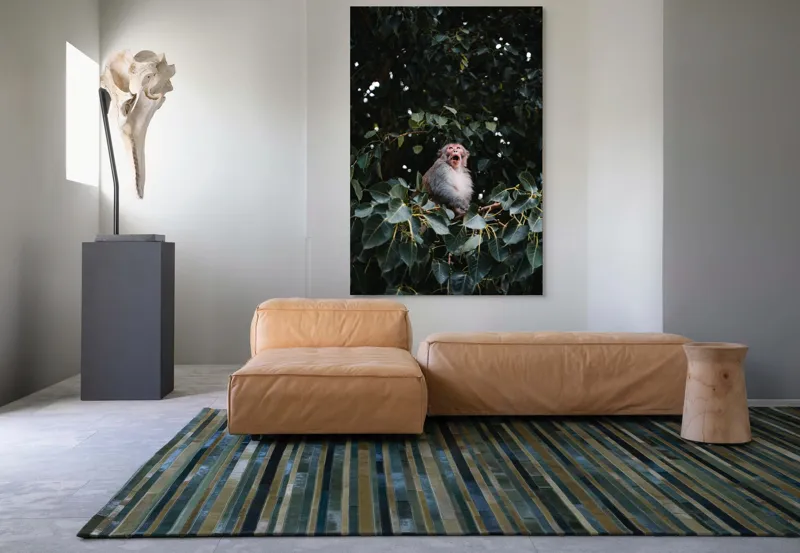 Tablou Canvas, "Maimuță veselă printre frunze verzi", Maimuță, Frunze, Copac, Natură, Râs, Ramură, Verde, Sălbăticie, 100 x 150 cm – poza 7