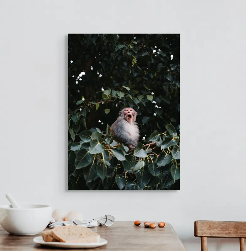 Tablou Canvas, "Maimuță veselă printre frunze verzi", Maimuță, Frunze, Copac, Natură, Râs, Ramură, Verde, Sălbăticie, 50 x 70 cm – poza 3