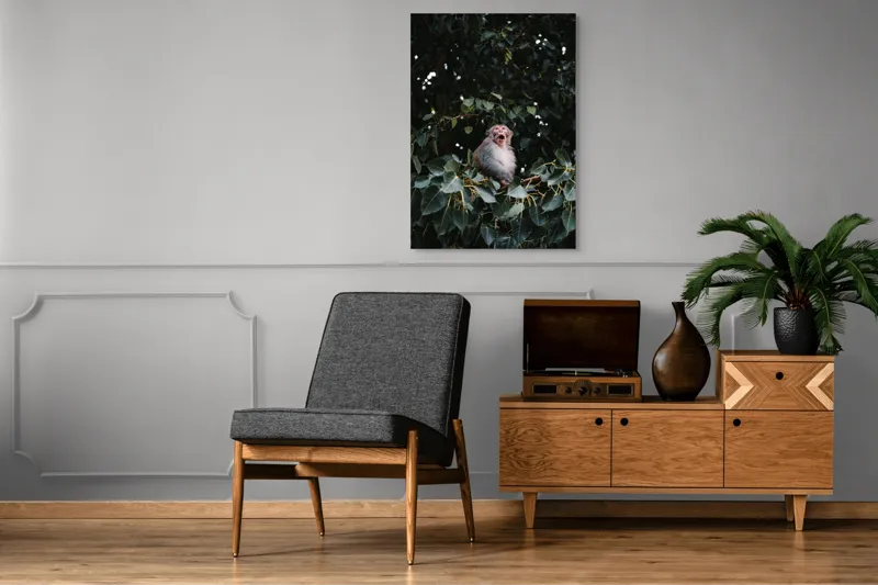 Tablou Canvas, "Maimuță veselă printre frunze verzi", Maimuță, Frunze, Copac, Natură, Râs, Ramură, Verde, Sălbăticie, 70 x 100 cm – poza 6