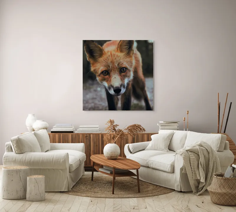 Tablou Canvas cu Vulpe în Lumina Dimineții, , Fără Ramă, 100 x 100 cm – poza 3
