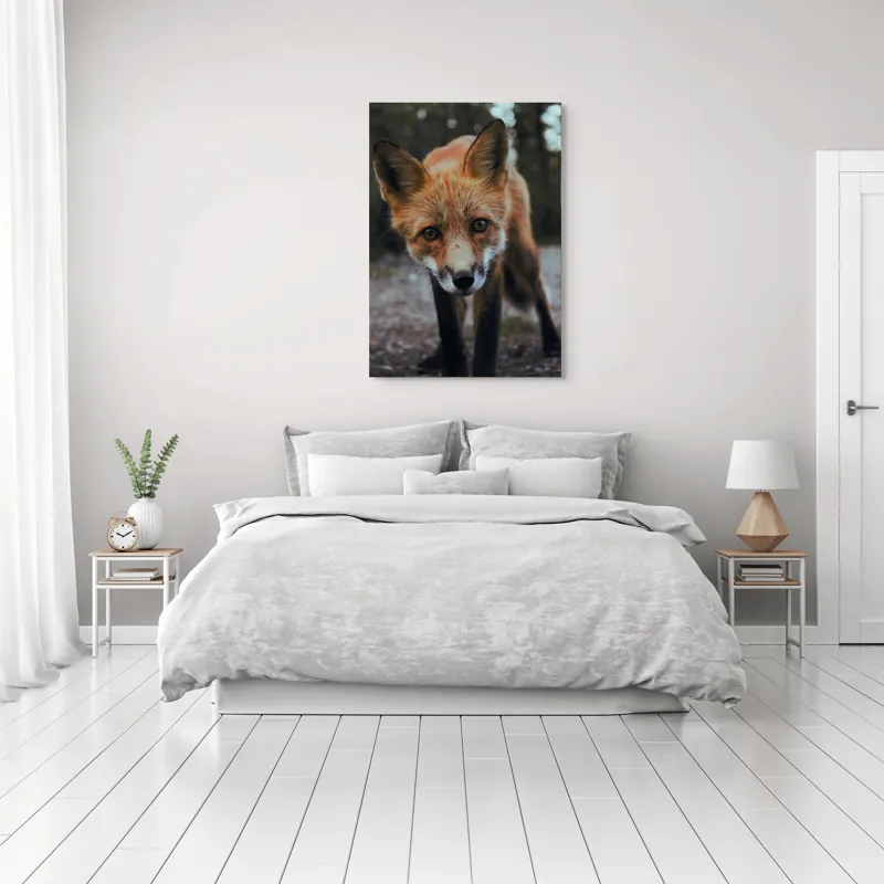 Tablou Canvas cu Vulpe în Lumina Dimineții, , Fără Ramă, 70 x 100 cm – poza 3