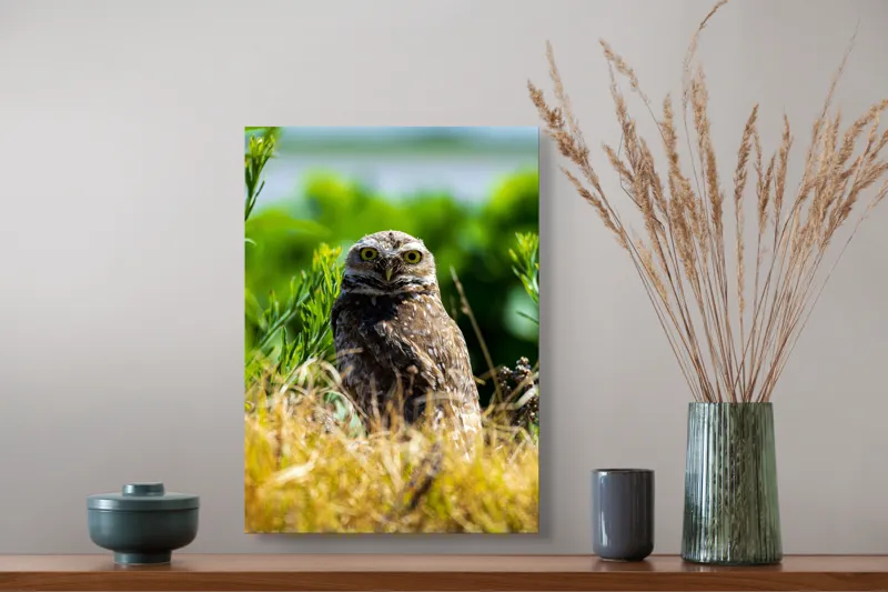 Tablou Canvas cu Bufniță în Vegetație Sălbatică, , Multicolor, 39 x 54 cm – poza 3