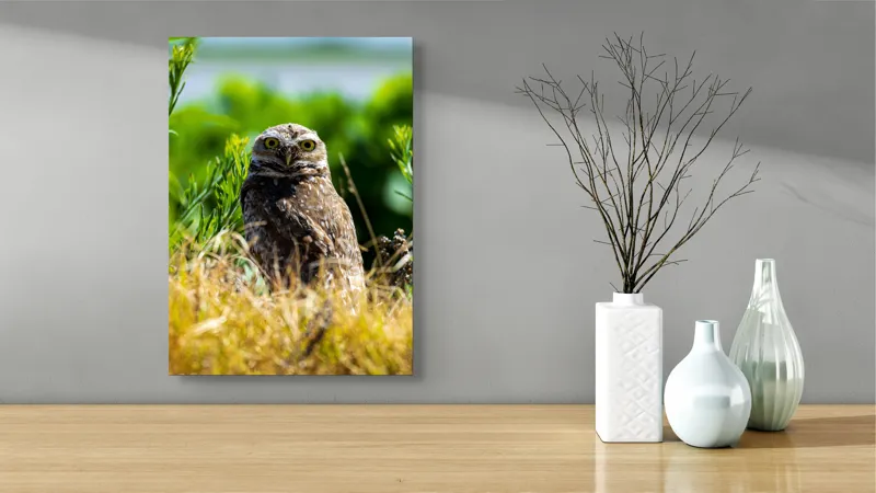 Tablou Canvas cu Bufniță în Vegetație Sălbatică, , Multicolor, 39 x 54 cm – poza 4