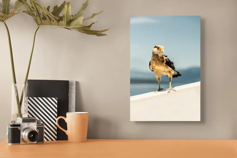 Tablou Canvas pe tema Privighetoarei cerului senin, Pasăre și Natură, 26 x 39 cm – poza 3