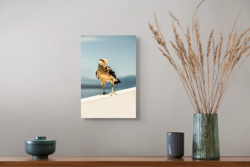 Tablou Canvas pe tema Privighetoarei cerului senin, Pasăre și Natură, 26 x 39 cm – poza 5