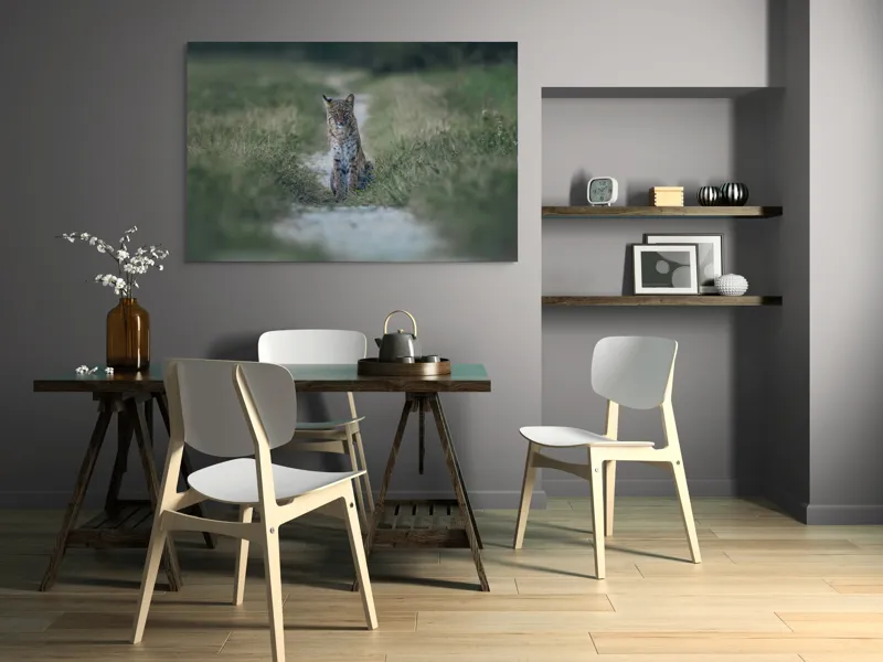 Tablou Canvas Lincele solitar pe drumul de pământ, 150 x 100 cm – poza 5