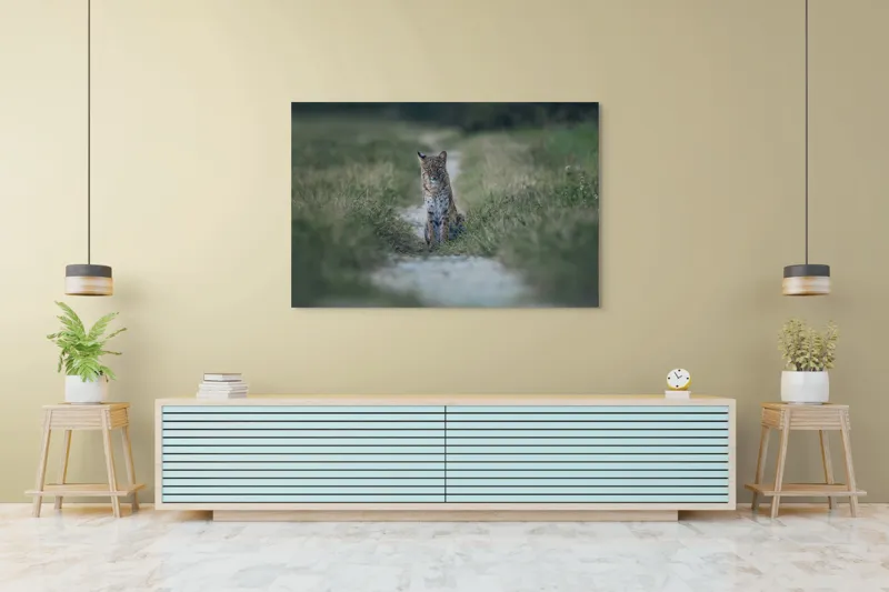 Tablou Canvas Lincele solitar pe drumul de pământ, 150 x 100 cm – poza 6