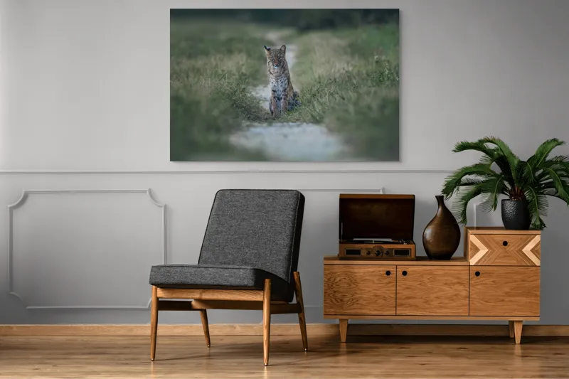 Tablou Canvas Lincele solitar pe drumul de pământ, 150 x 100 cm – poza 8