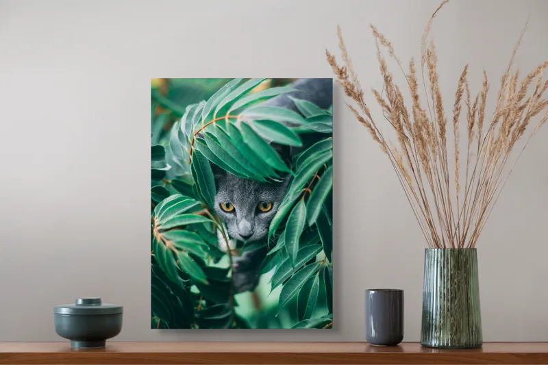 Tablou Canvas Pisică în Tufiș Verde Natură Misterioasă, 39 x 54 cm – poza 3