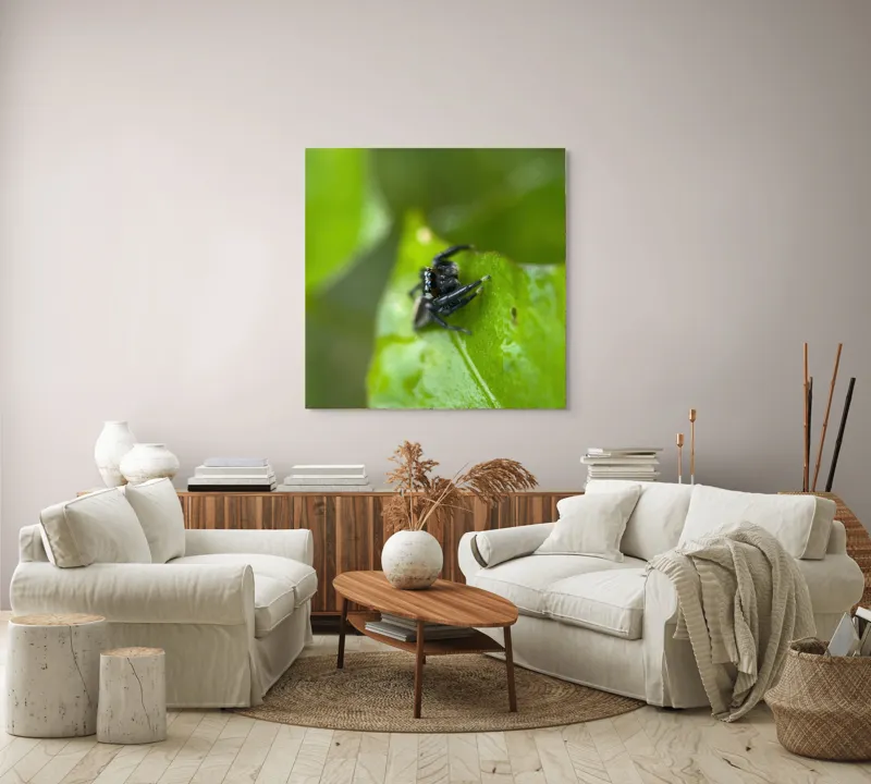 Tablou Canvas Păianjen pe Frunză Proaspătă și Verde, 100 x 100 cm – poza 3