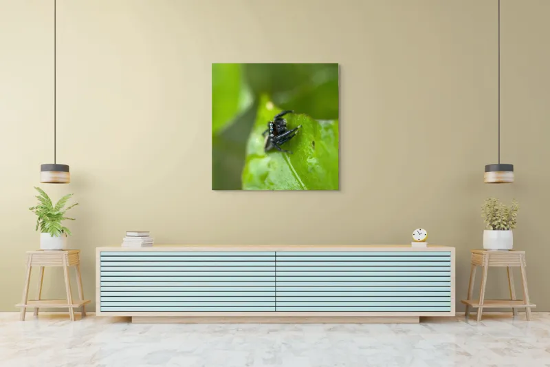 Tablou Canvas Păianjen pe Frunză Proaspătă și Verde, 100 x 100 cm – poza 5