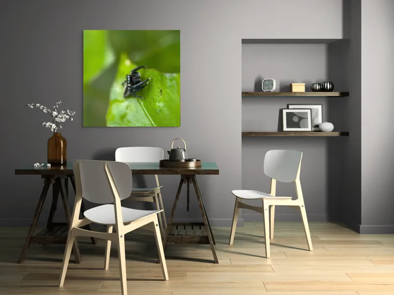 Tablou Canvas Păianjen pe Frunză Proaspătă și Verde, 100 x 100 cm – poza 6