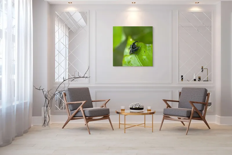 Tablou Canvas Păianjen pe Frunză Proaspătă și Verde, 100 x 100 cm – poza 7