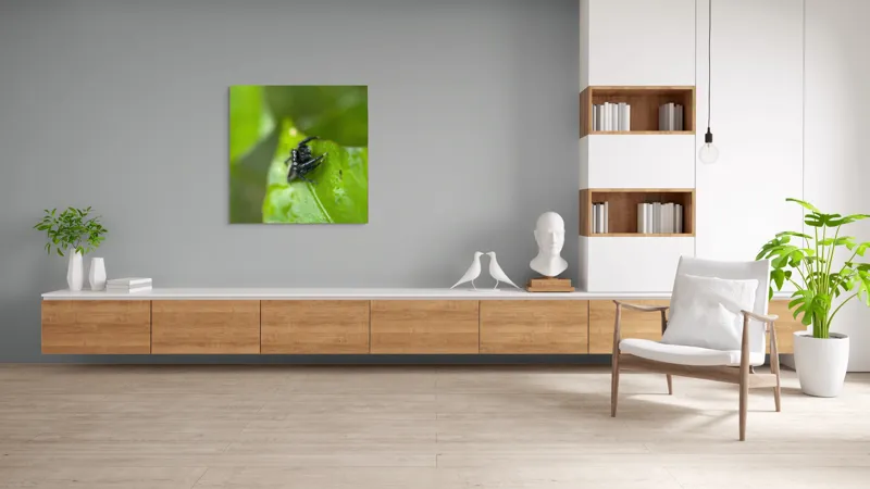 Tablou Canvas Păianjen pe Frunză Proaspătă și Verde, 100 x 100 cm – poza 8