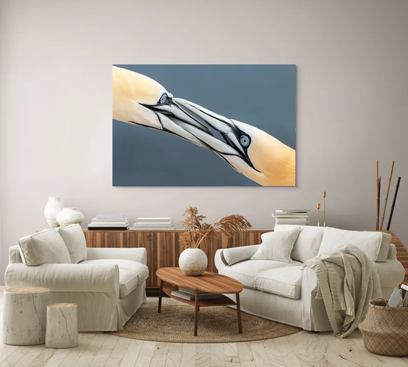 Tablou Canvas Păsări Interacțiune Natură Ochi Penaj, 150 x 100 cm – poza 3