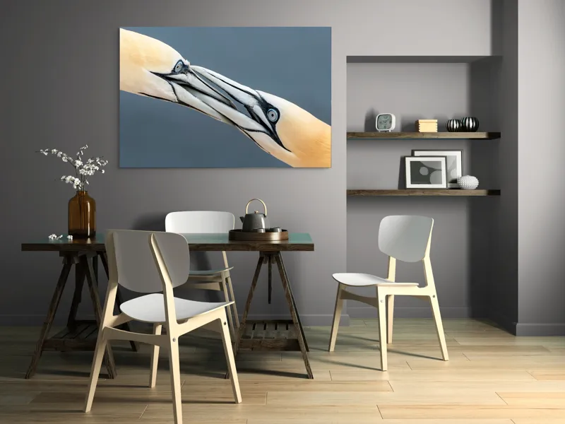 Tablou Canvas Păsări Interacțiune Natură Ochi Penaj, 150 x 100 cm – poza 5