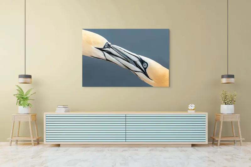 Tablou Canvas Păsări Interacțiune Natură Ochi Penaj, 150 x 100 cm – poza 6