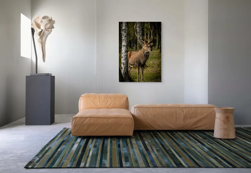 Tablou Canvas Natură și Sălbăticie - Scenă Majestică din Pădure, 70 x 100 cm – poza 7