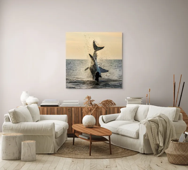 Tablou Canvas, "Rechin ieșind din apă în zori", Rechin, Sărind, Apă, Ocean, Apus, Spectacol, Putere, Natură, 100 x 100 cm – poza 3