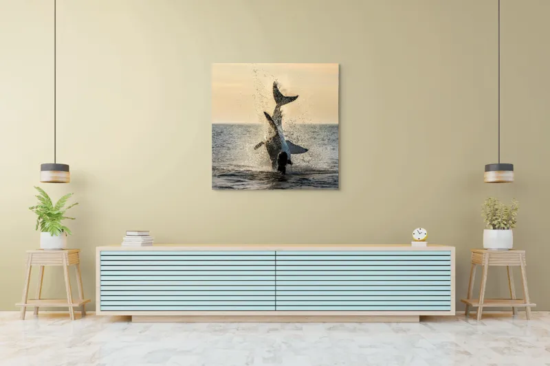 Tablou Canvas, "Rechin ieșind din apă în zori", Rechin, Sărind, Apă, Ocean, Apus, Spectacol, Putere, Natură, 100 x 100 cm – poza 5