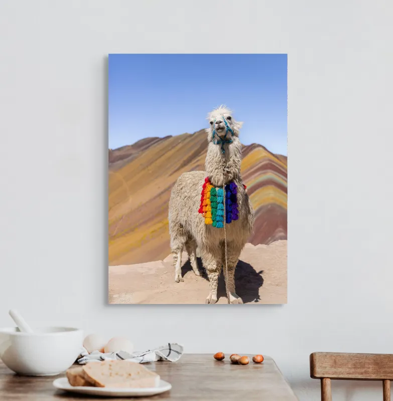 Tablou Canvas Lama în culorile curcubeului Andin Peisaj Montan Decorativ, 50 x 70 cm – poza 3