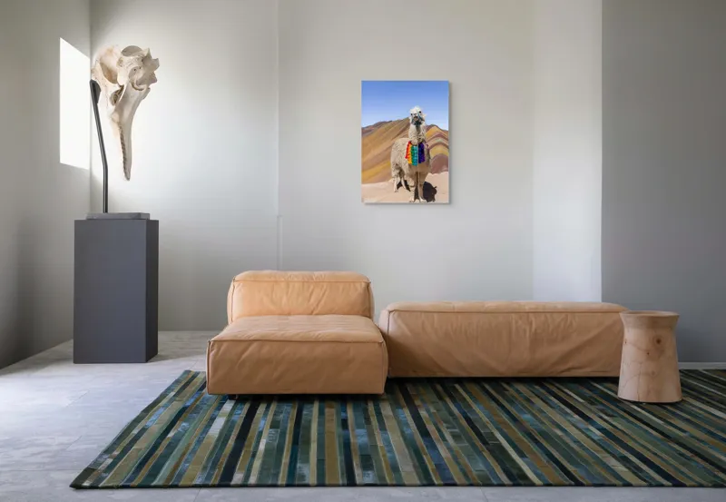 Tablou Canvas Lama în culorile curcubeului Andin Peisaj Montan Decorativ, 50 x 70 cm – poza 7