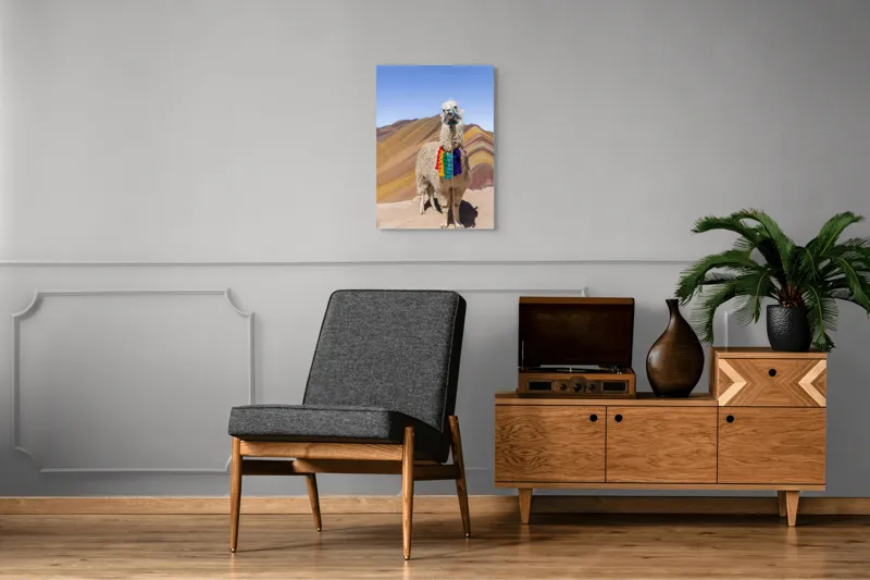 Tablou Canvas Lama în culorile curcubeului Andin Peisaj Montan Decorativ, 50 x 70 cm – poza 8