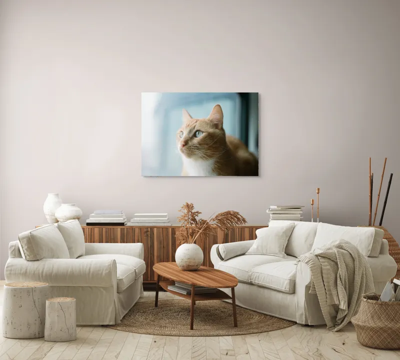 Tablou Canvas, "Visul unei pisici portocalii", Pisică, Portocalie, Privire, Curioasă, Blană, Mătăsoasă, Fereastră, Lumină, 100 x 70 cm – poza 3