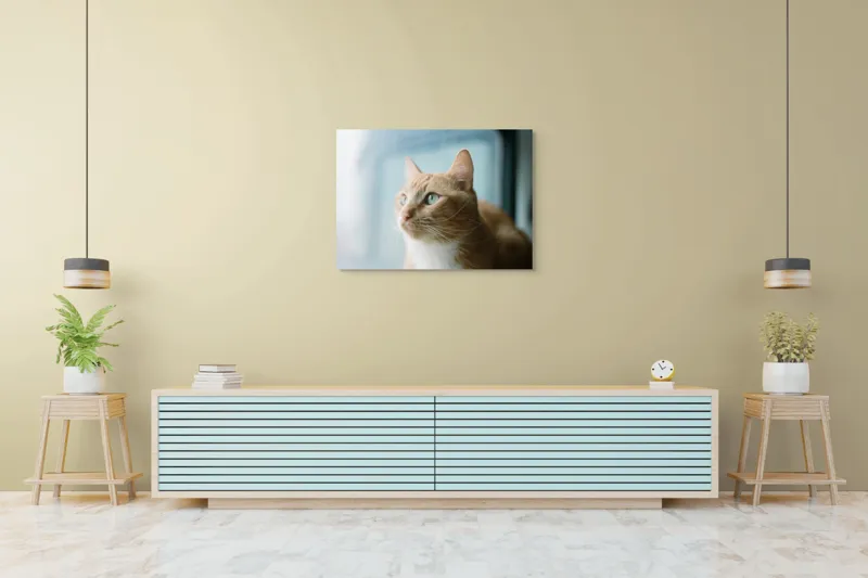 Tablou Canvas, "Visul unei pisici portocalii", Pisică, Portocalie, Privire, Curioasă, Blană, Mătăsoasă, Fereastră, Lumină, 100 x 70 cm – poza 4