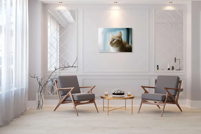 Tablou Canvas, "Visul unei pisici portocalii", Pisică, Portocalie, Privire, Curioasă, Blană, Mătăsoasă, Fereastră, Lumină, 100 x 70 cm – poza 5