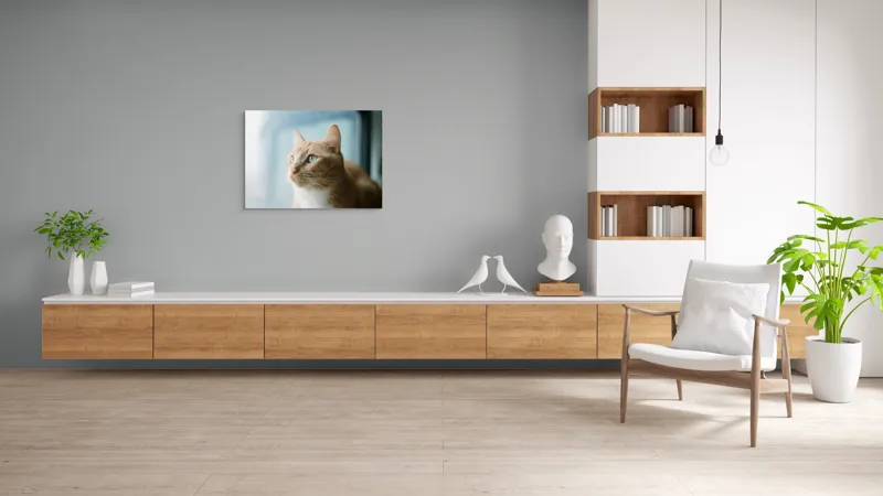 Tablou Canvas, "Visul unei pisici portocalii", Pisică, Portocalie, Privire, Curioasă, Blană, Mătăsoasă, Fereastră, Lumină, 100 x 70 cm – poza 6