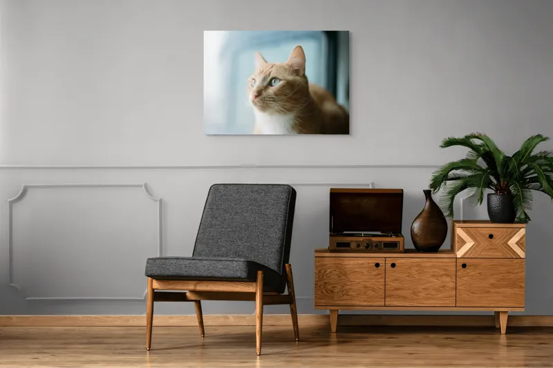 Tablou Canvas, "Visul unei pisici portocalii", Pisică, Portocalie, Privire, Curioasă, Blană, Mătăsoasă, Fereastră, Lumină, 100 x 70 cm – poza 8