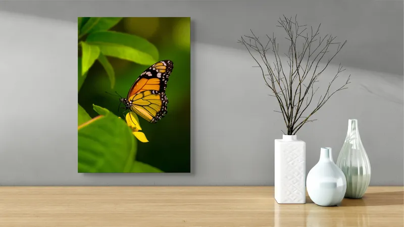 Tablou Canvas, "Fluture pe floare însorită", Fluture, Aripă, Natură, Frunză, Floare, Viu, Frumos, Colorat, Detaliu, 39 x 54 cm – poza 4