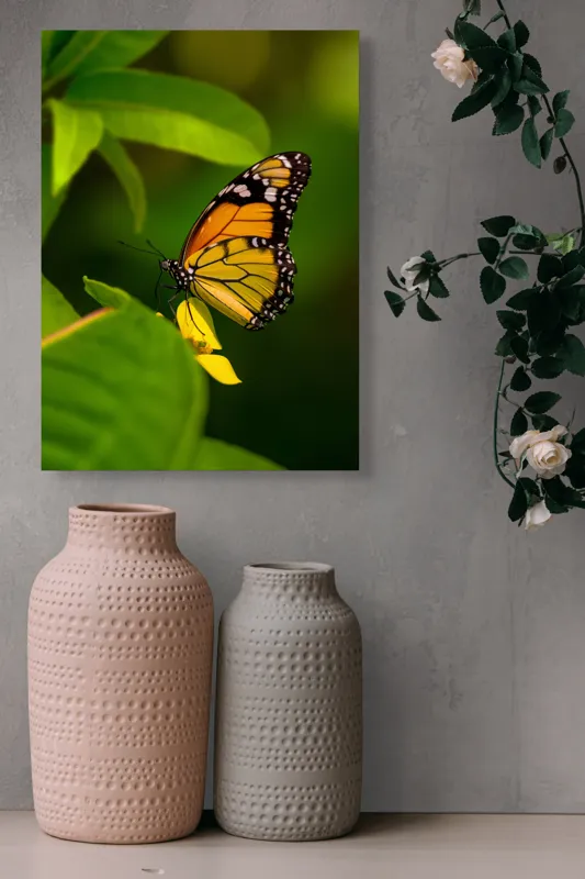 Tablou Canvas, "Fluture pe floare însorită", Fluture, Aripă, Natură, Frunză, Floare, Viu, Frumos, Colorat, Detaliu, 39 x 54 cm – poza 6
