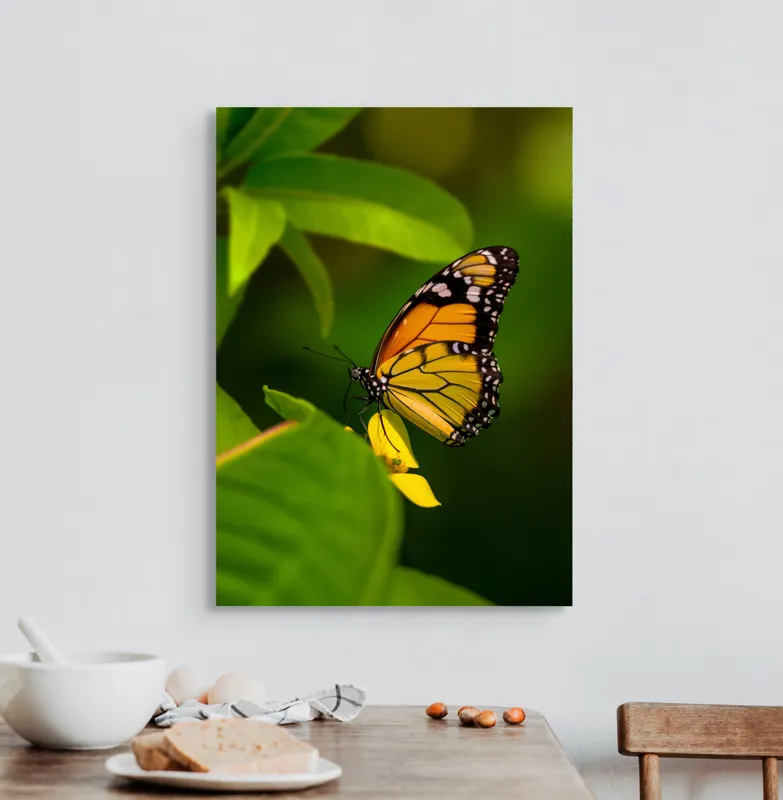 Tablou Canvas, "Fluture pe floare însorită", Fluture, Aripă, Natură, Frunză, Floare, Viu, Frumos, Colorat, Detaliu, 50 x 70 cm – poza 3