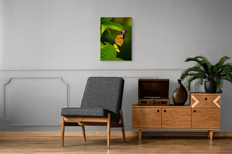 Tablou Canvas, "Fluture pe floare însorită", Fluture, Aripă, Natură, Frunză, Floare, Viu, Frumos, Colorat, Detaliu, 50 x 70 cm – poza 8