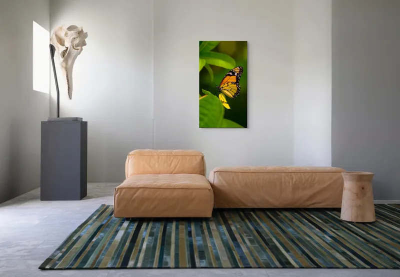 Tablou Canvas, "Fluture pe floare însorită", Fluture, Aripă, Natură, Frunză, Floare, Viu, Frumos, Colorat, Detaliu, 50 x 90 cm – poza 5