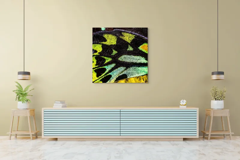 Tablou Canvas, "Splendoarea aripilor de fluture exotice", Culori, Texturi, Irizație, Aripi, Natură, Strălucire, Detalii, Frumusețe, Contrast, Model., 100 x 100 cm – poza 5