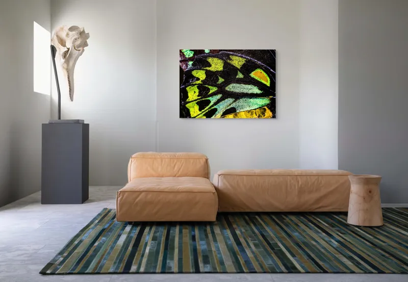 Tablou Canvas, "Splendoarea aripilor de fluture exotice", Culori, Texturi, Irizație, Aripi, Natură, Strălucire, Detalii, Frumusețe, Contrast, Model., 100 x 70 cm – poza 7