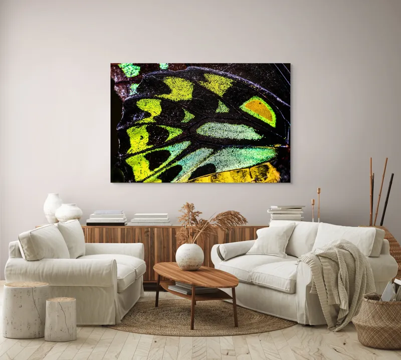 Tablou Canvas, "Splendoarea aripilor de fluture exotice", Culori, Texturi, Irizație, Aripi, Natură, Strălucire, Detalii, Frumusețe, Contrast, Model., 150 x 100 cm – poza 3