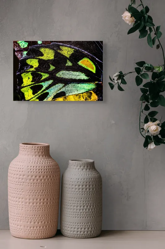 Tablou Canvas, "Splendoarea aripilor de fluture exotice", Culori, Texturi, Irizație, Aripi, Natură, Strălucire, Detalii, Frumusețe, Contrast, Model., 39 x 26 cm – poza 4